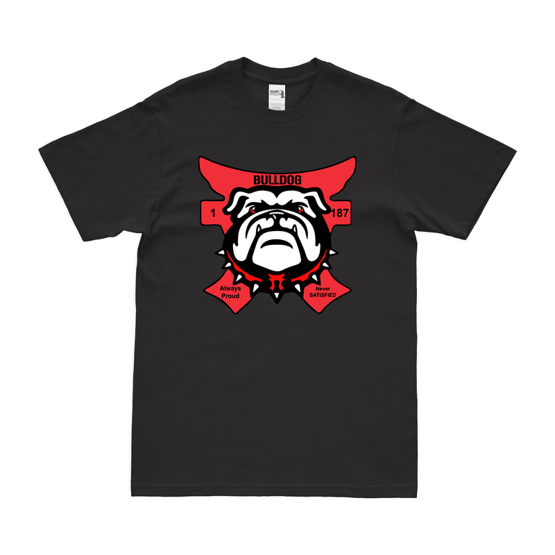 B Co, 1-187 IN, 3BCT, 101 ABN (AASLT) T-Shirt