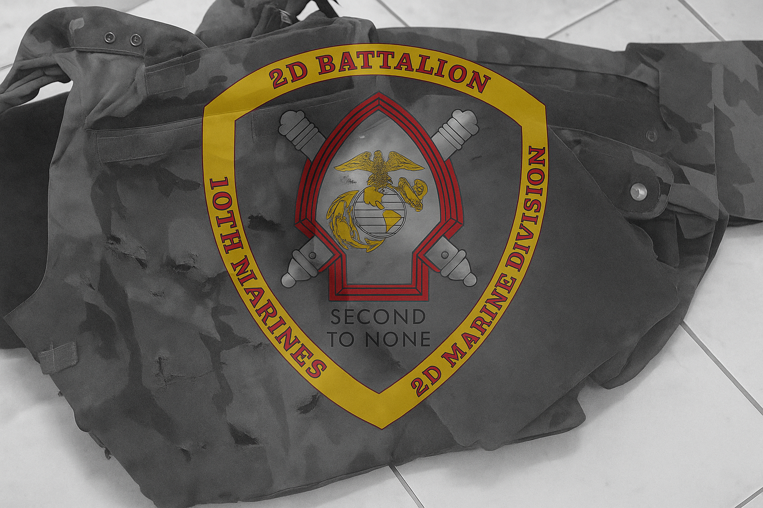 2/insignia over armor plates that were damaged during the battle