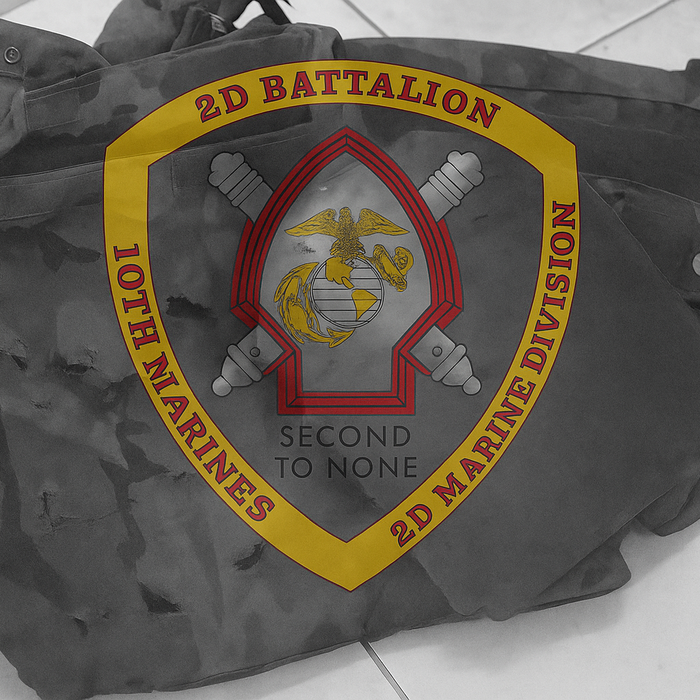 2/insignia over armor plates that were damaged during the battle