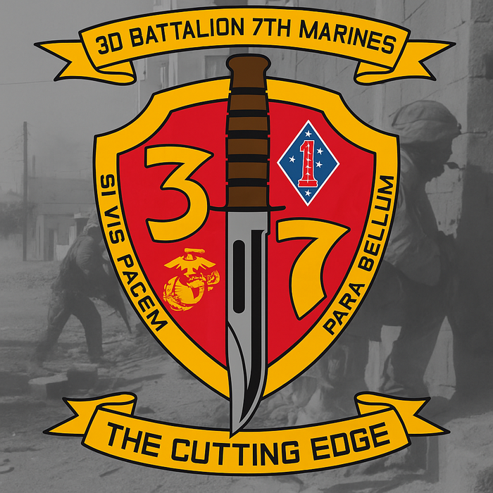 3/7 logo over urban fighting