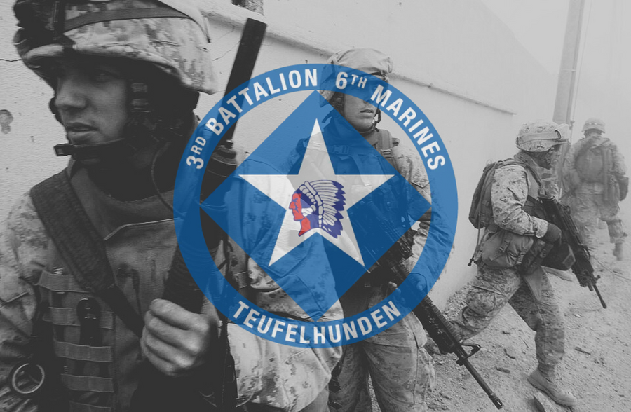 3/6 Marines insignia over Marines participating in operation steel curtain