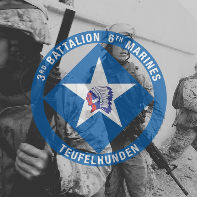 3/6 Marines insignia over Marines participating in operation steel curtain