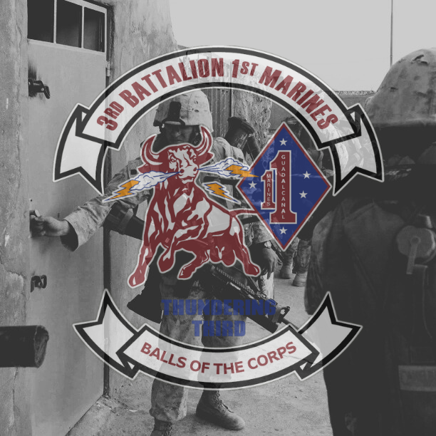 3rd Battalion, 1st Marines Insignia over image from Operation River Gate