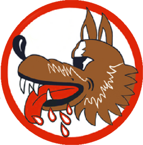 71st Bombardment Squadron