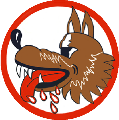 71st Bombardment Squadron