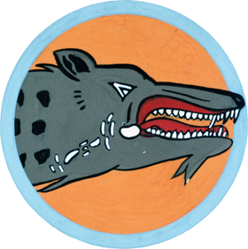 49th Bombardment Squadron
