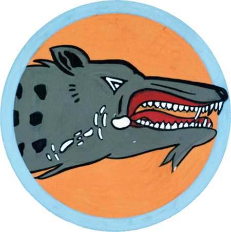 49th Bombardment Squadron