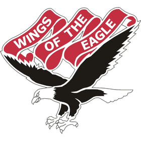 101st Aviation Regiment