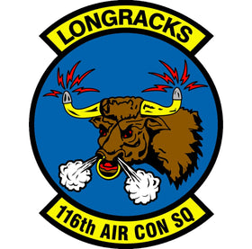 116th Air Control Squadron (116th ACS)