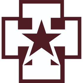 139th Medical Brigade
