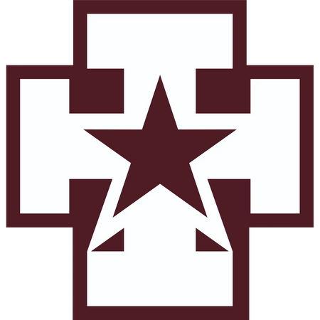 139th Medical Brigade