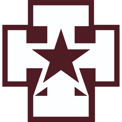 139th Medical Brigade