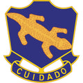 Infantry Regiment
