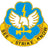 207th Military Intelligence Brigade