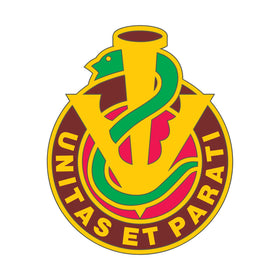 228th Combat Support Hospital