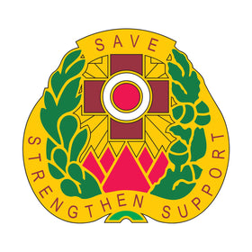 256th Combat Support Hospital