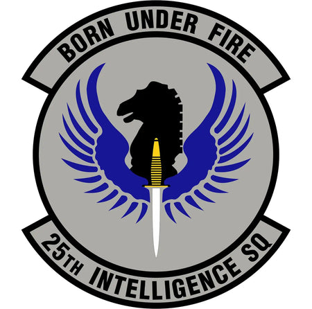 25th Intelligence Squadron