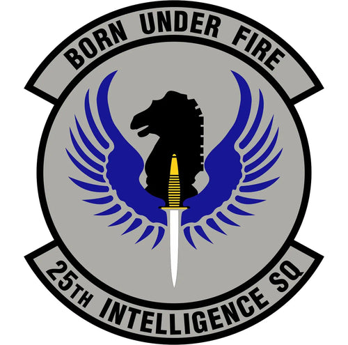 25th Intelligence Squadron