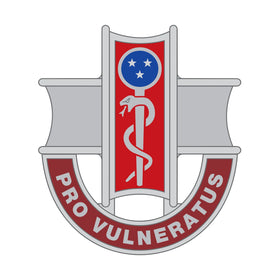 300th Combat Support Hospital