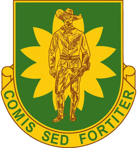 304th Military Police Battalion