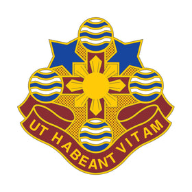 309th Combat Support Hospital