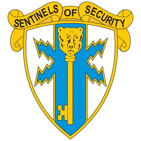 309th Military Intelligence Battalion