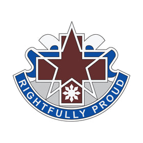 31st Combat Support Hospital