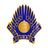 33rd Aviation Group