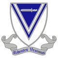 Infantry Regiment