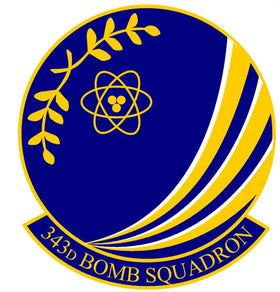 343d Bomb Squadron