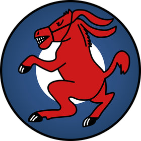 356th Fighter Squadron