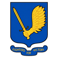 Fighter Group