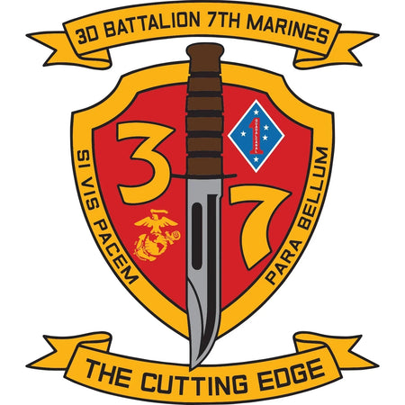 3rd Battalion, 7th Marines (3/7 Marines)