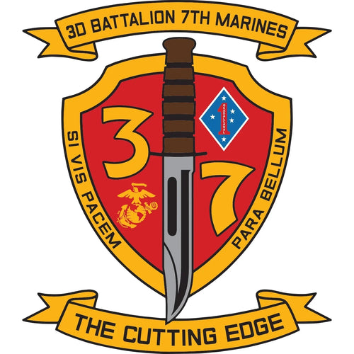 3rd Battalion, 7th Marines (3/7 Marines)