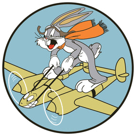 435th Fighter Squadron