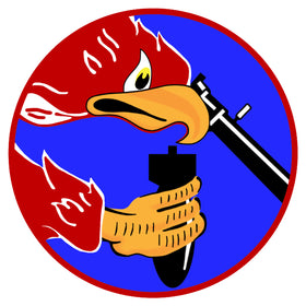 492nd Fighter Squadron