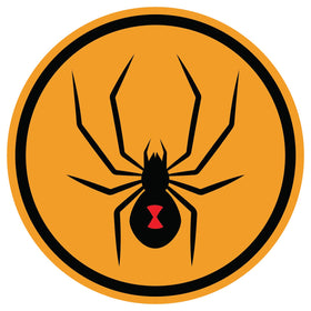 4th Bombardment Squadron