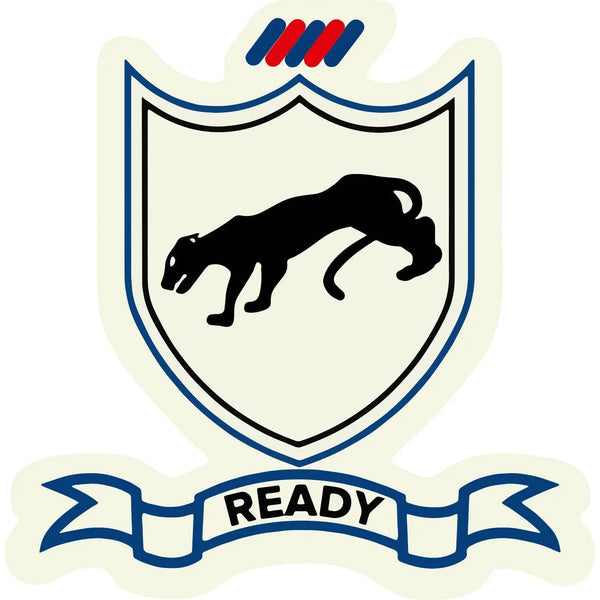 Parachute Infantry Regiment