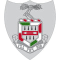 Infantry Regiment