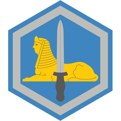 66th Military Intelligence Brigade