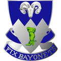 Infantry Regiment