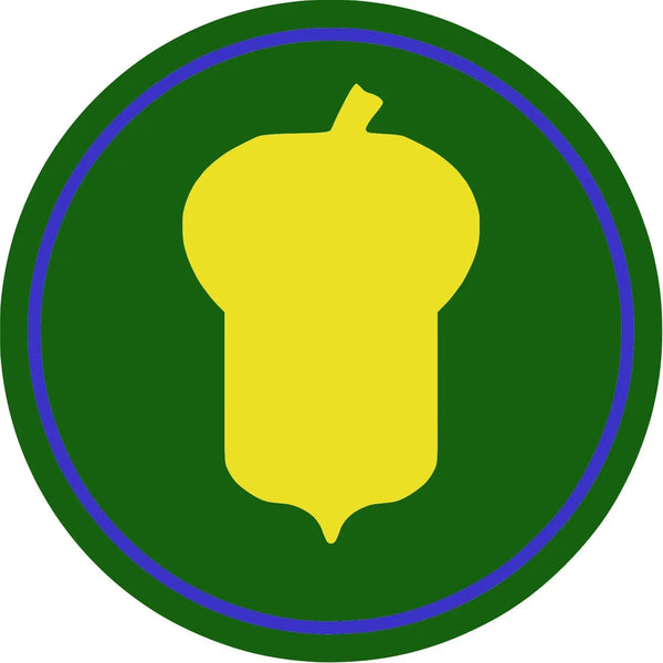 Infantry Division