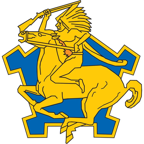 9th Cavalry Regiment Logo Emblem Insignia