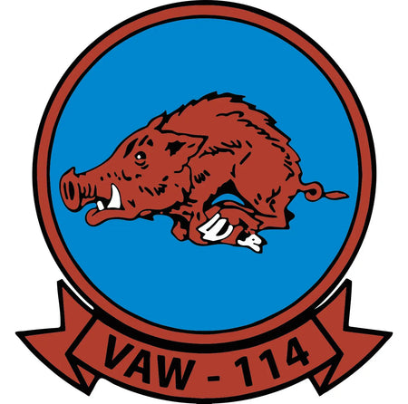 Airborne Command & Control Squadron 114 (VAW-114)