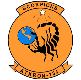Attack Squadron 134 (VA-134)