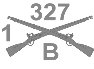 B Company 1-327 Infantry Regiment "Bushmasters" Merchandise