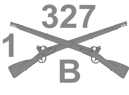 B Company 1-327 Infantry Regiment "Bushmasters" Merchandise