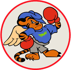 Bombing Squadron 14 (VB-14)