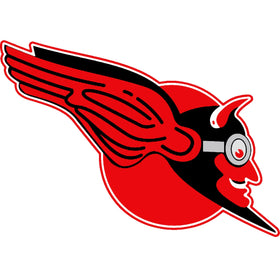 Bombing Squadron 5 (VB-5)
