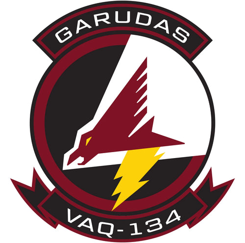 Electronic Attack Squadron 134 (VAQ-134)